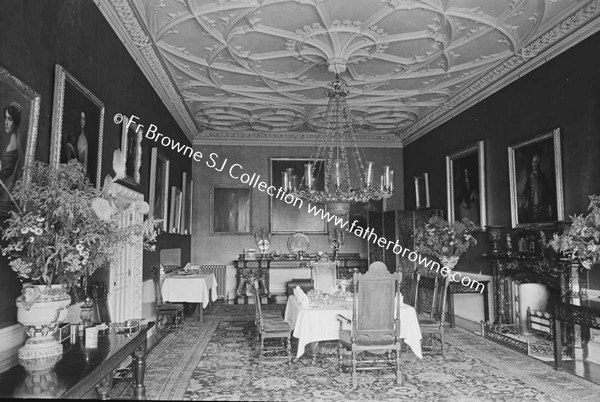 BIRR CASTLE  DRAWING ROOM